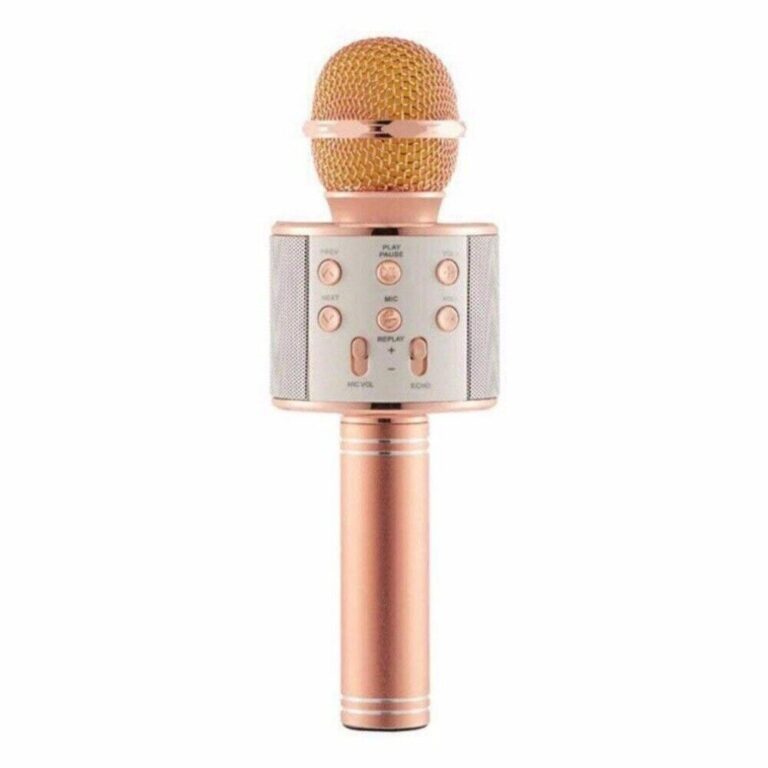 Parlante Microfono HAND HELD KARAOKE WS-858 Rosa