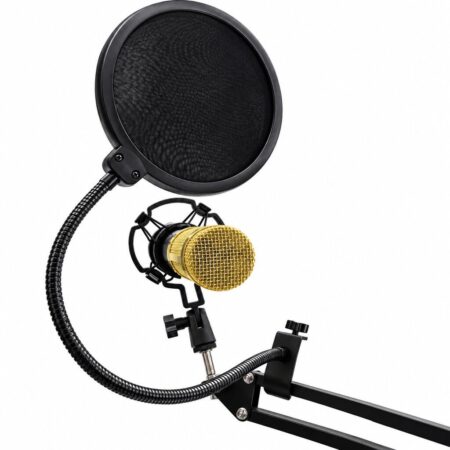 Microfono Condensador BM-858TZ con Brazo